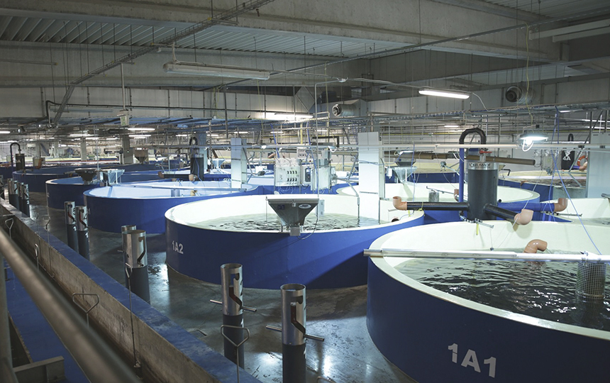 6. Wasserbehandlung mit Glasfaser